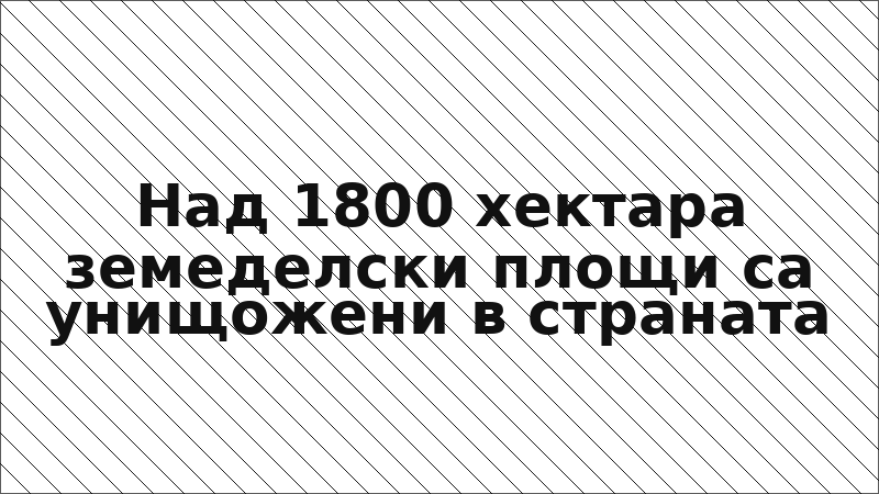 Над 1800 хектара земеделски площи са унищожени в страната