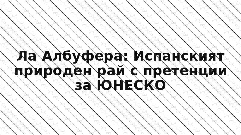 Ла Албуфера: Испанският природен рай с претенции за ЮНЕСКО
