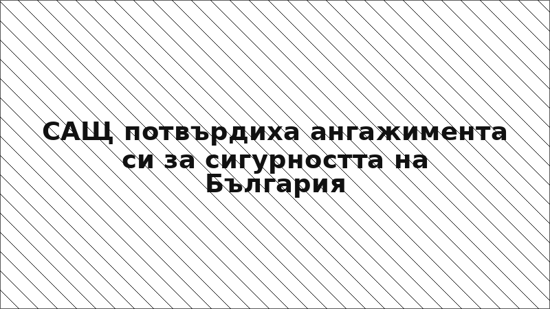 САЩ потвърдиха ангажимента си за сигурността на България