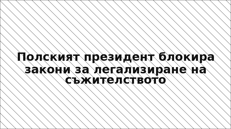 Полският президент блокира закони за легализиране на съжителството