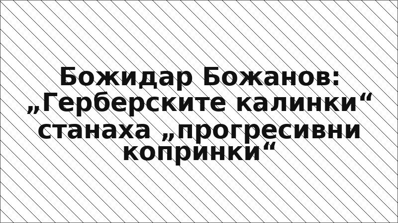 Божидар Божанов: „Герберските калинки“ станаха „прогресивни копринки“