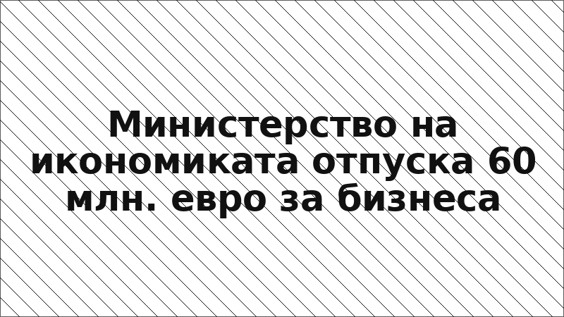 Министерство на икономиката отпуска 60 млн. евро за бизнеса