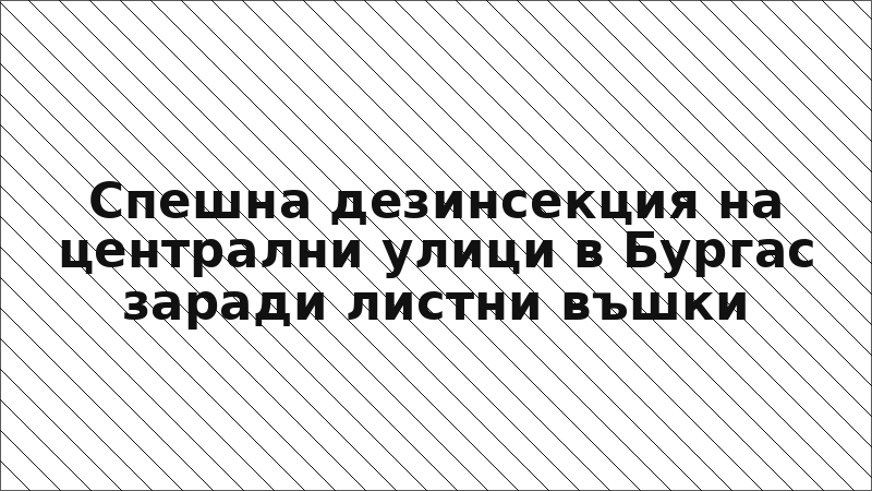 Спешна дезинсекция на централни улици в Бургас заради листни въшки
