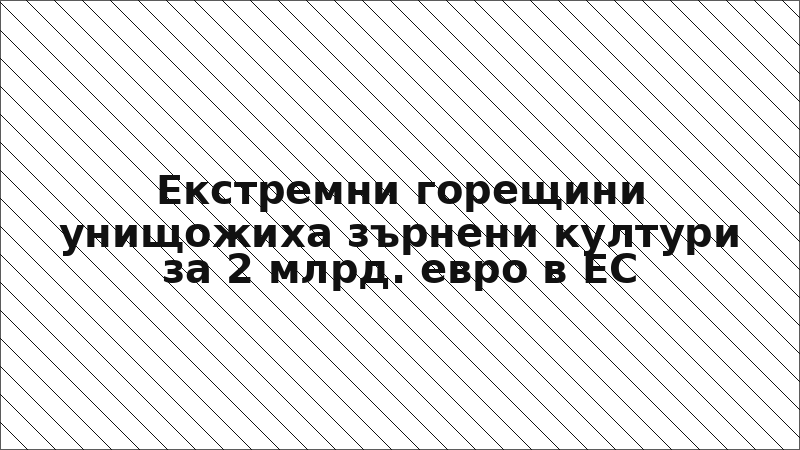 Екстремни горещини унищожиха зърнени култури за 2 млрд. евро в ЕС