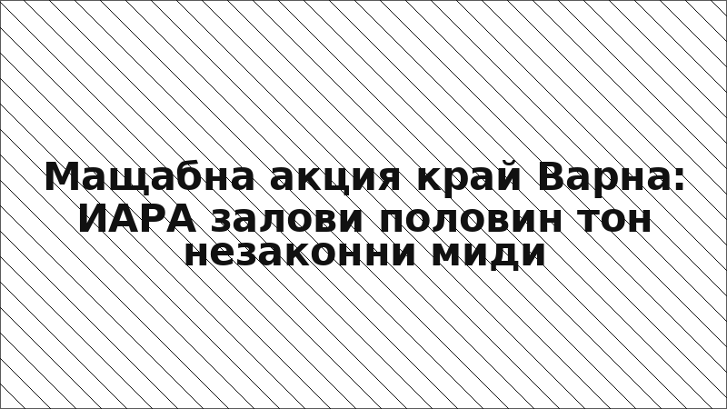 Мащабна акция край Варна: ИАРА залови половин тон незаконни миди