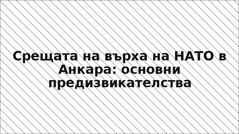 Срещата на върха на НАТО в Анкара: основни предизвикателства
