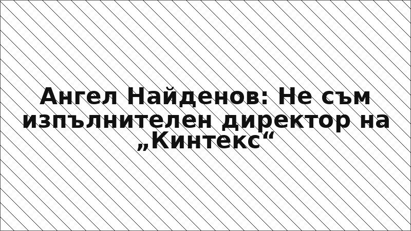 Ангел Найденов: Не съм изпълнителен директор на „Кинтекс“