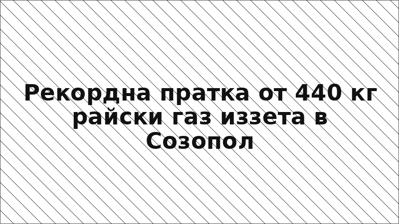 Рекордна пратка от 440 кг райски газ иззета в Созопол