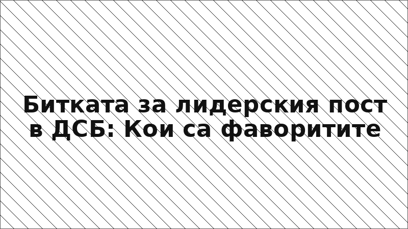 Битката за лидерския пост в ДСБ: Кои са фаворитите
