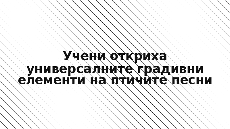 Учени откриха универсалните градивни елементи на птичите песни
