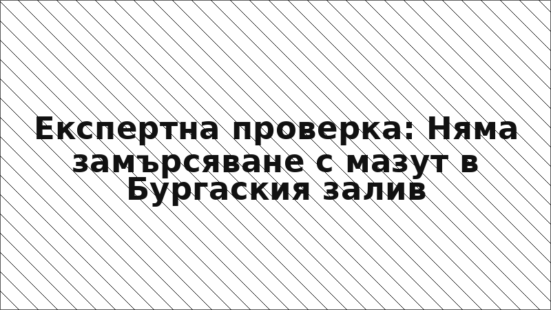 Експертна проверка: Няма замърсяване с мазут в Бургаския залив