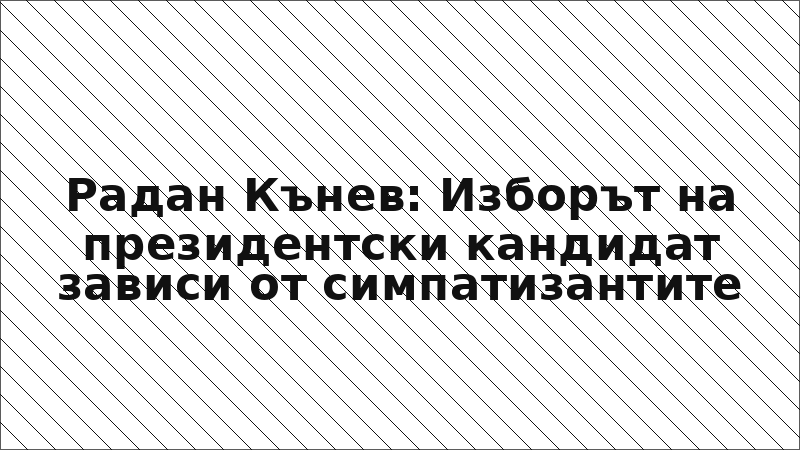Радан Кънев: Изборът на президентски кандидат зависи от симпатизантите