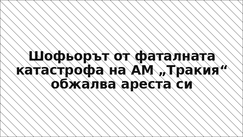 Шофьорът от фаталната катастрофа на АМ „Тракия“ обжалва ареста си