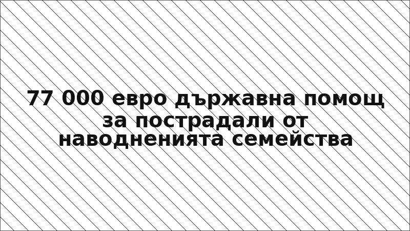 77 000 евро държавна помощ за пострадали от наводненията семейства
