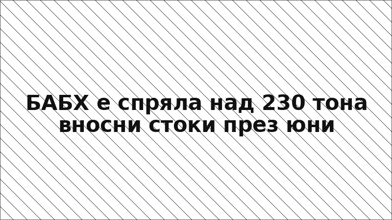 БАБХ е спряла над 230 тона вносни стоки през юни