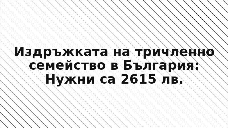 Издръжката на тричленно семейство в България: Нужни са 2615 лв.