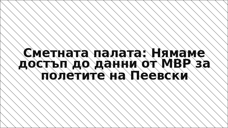 Сметната палата: Нямаме достъп до данни от МВР за полетите на Пеевски