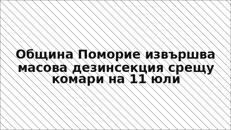 Община Поморие извършва масова дезинсекция срещу комари на 11 юли