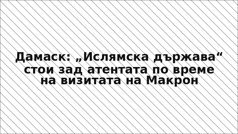 Дамаск: „Ислямска държава“ стои зад атентата по време на визитата на Макрон