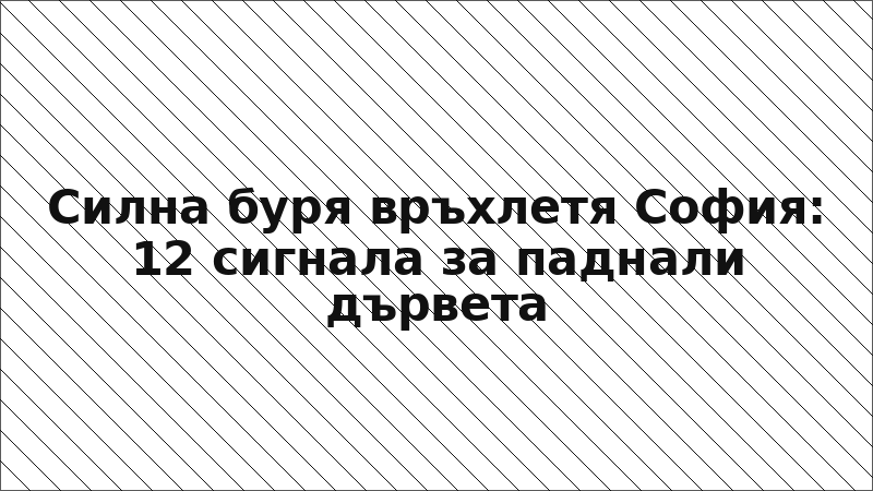 Силна буря връхлетя София: 12 сигнала за паднали дървета