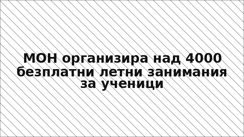 МОН организира над 4000 безплатни летни занимания за ученици