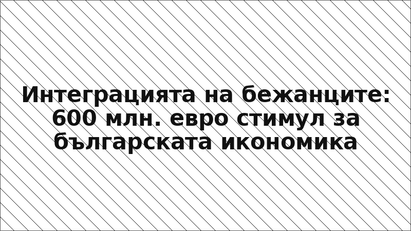 Интеграцията на бежанците: 600 млн. евро стимул за българската икономика
