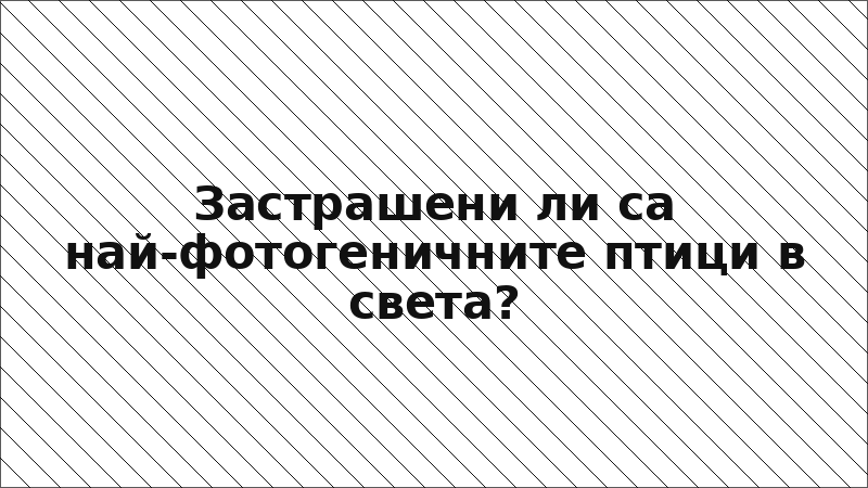 Застрашени ли са най-фотогеничните птици в света?