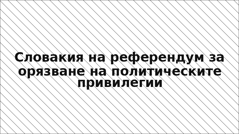 Словакия на референдум за орязване на политическите привилегии