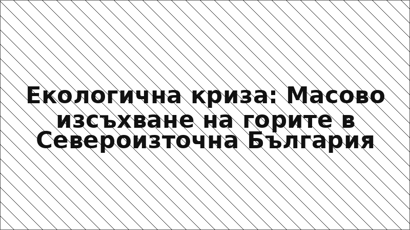 Екологична криза: Масово изсъхване на горите в Североизточна България