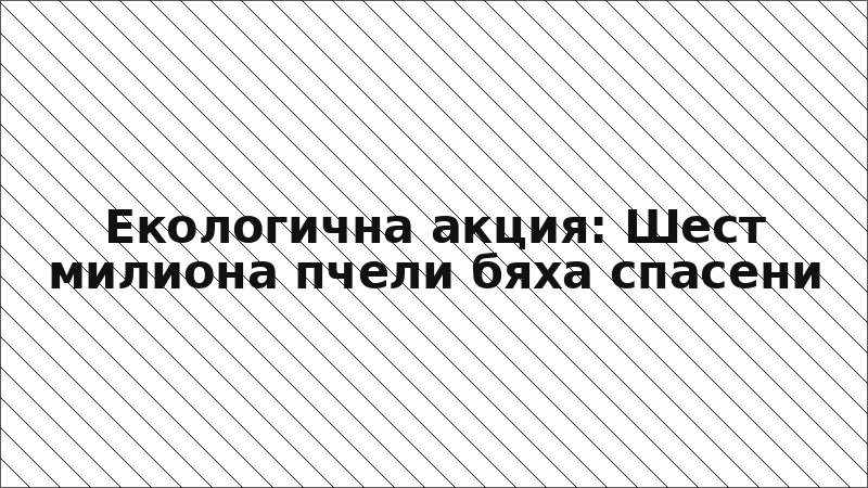 Екологична акция: Шест милиона пчели бяха спасени