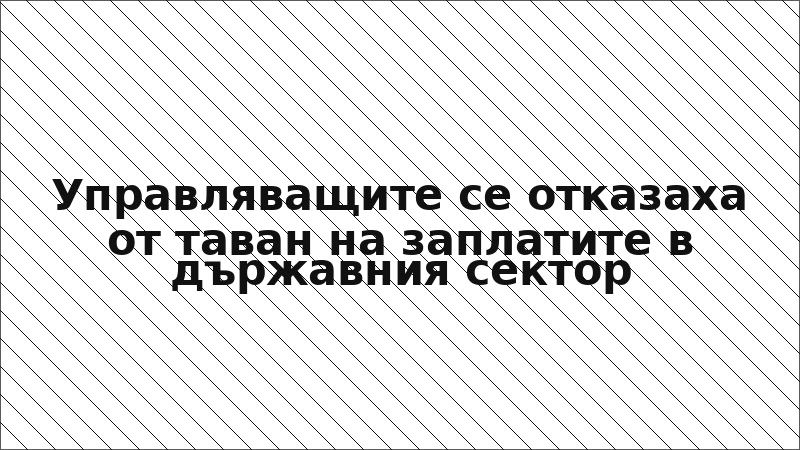 Управляващите се отказаха от таван на заплатите в държавния сектор