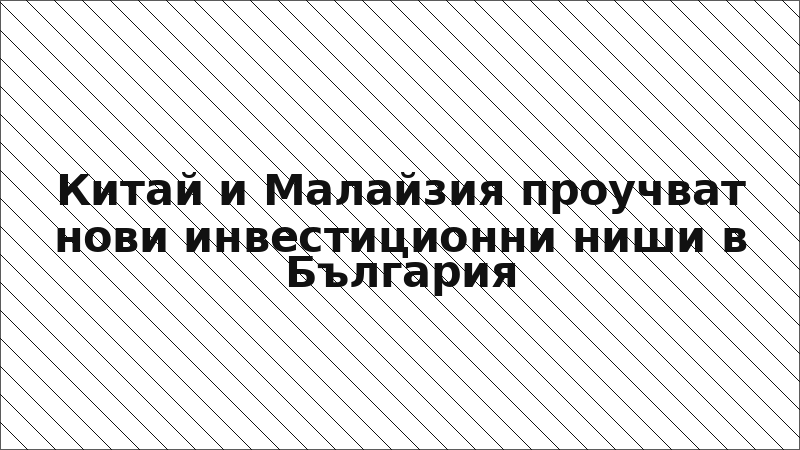 Китай и Малайзия проучват нови инвестиционни ниши в България
