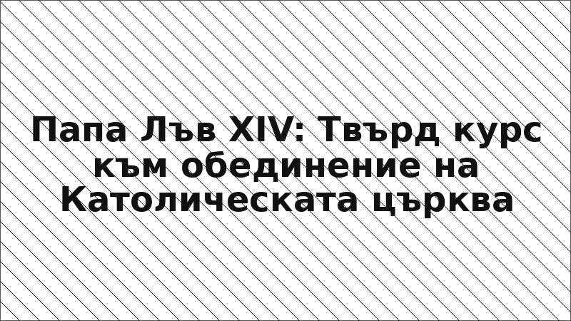 Папа Лъв XIV: Твърд курс към обединение на Католическата църква