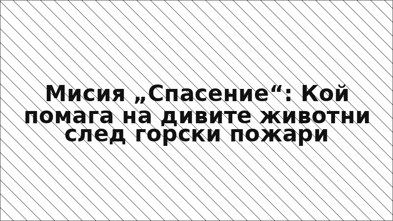 Мисия „Спасение“: Кой помага на дивите животни след горски пожари