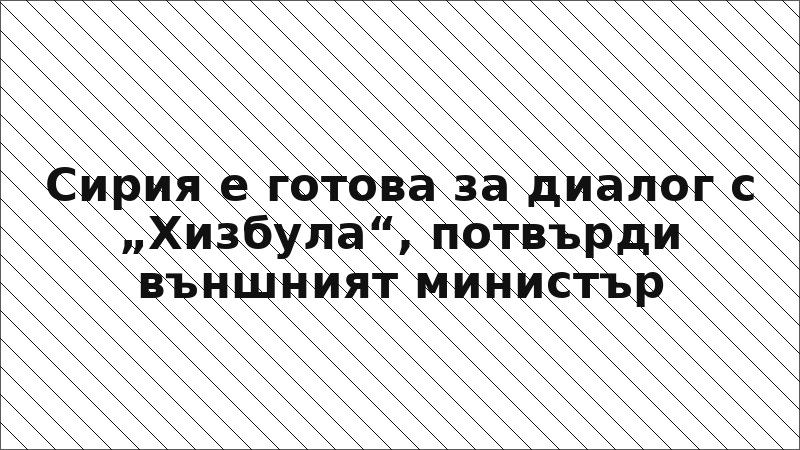 Сирия е готова за диалог с „Хизбула“, потвърди външният министър