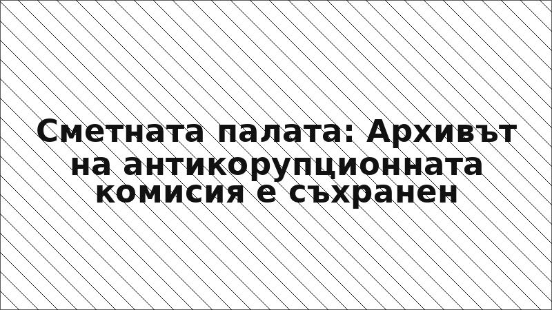 Сметната палата: Архивът на антикорупционната комисия е съхранен