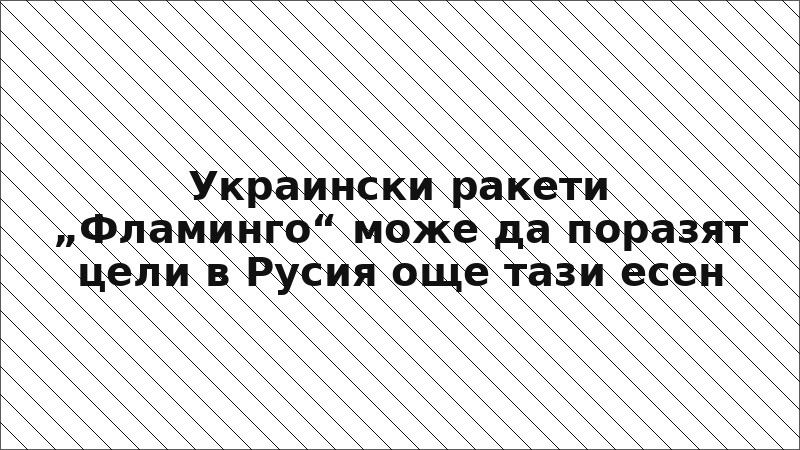 Украински ракети „Фламинго“ може да поразят цели в Русия още тази есен