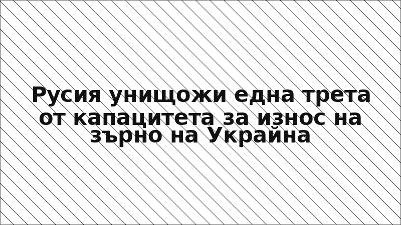 Русия унищожи една трета от капацитета за износ на зърно на Украйна