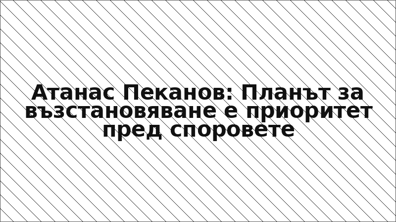 Атанас Пеканов: Планът за възстановяване е приоритет пред споровете