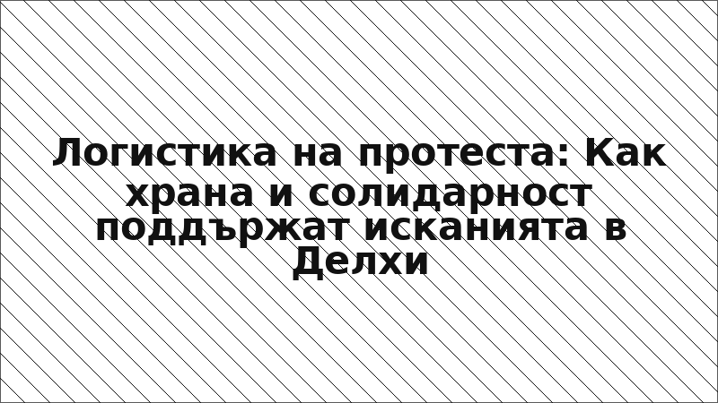 Логистика на протеста: Как храна и солидарност поддържат исканията в Делхи