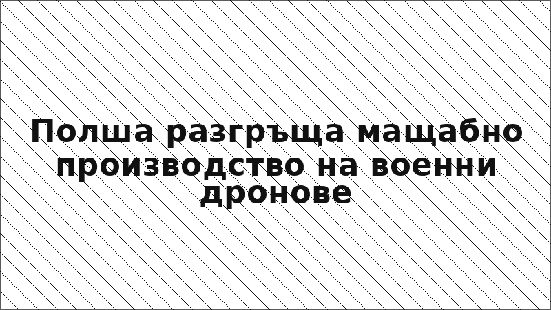 Полша разгръща мащабно производство на военни дронове