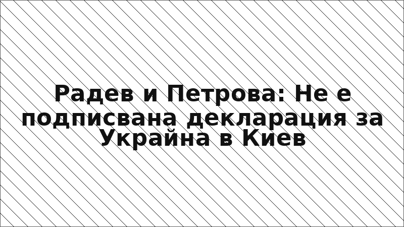 Радев и Петрова: Не е подписвана декларация за Украйна в Киев