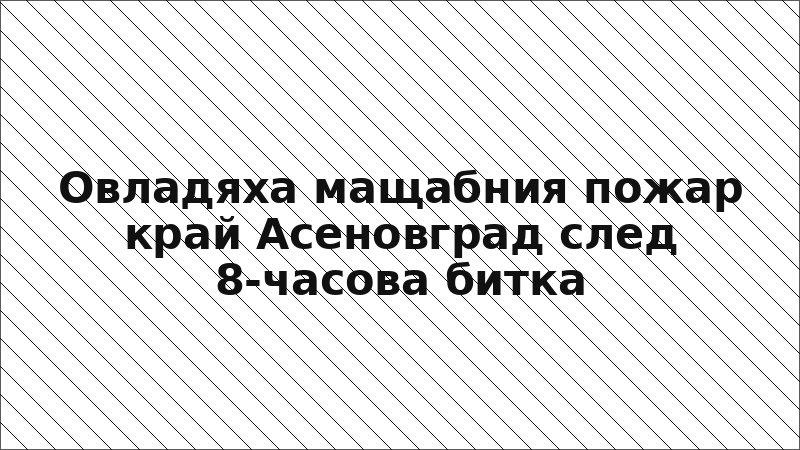 Овладяха мащабния пожар край Асеновград след 8-часова битка