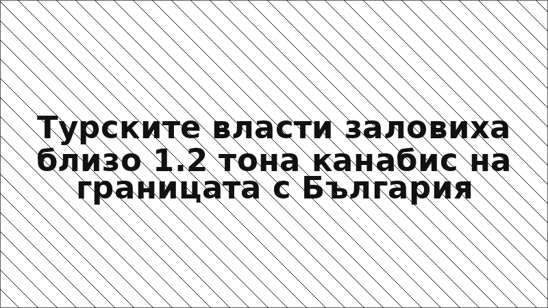 Турските власти заловиха близо 1.2 тона канабис на границата с България