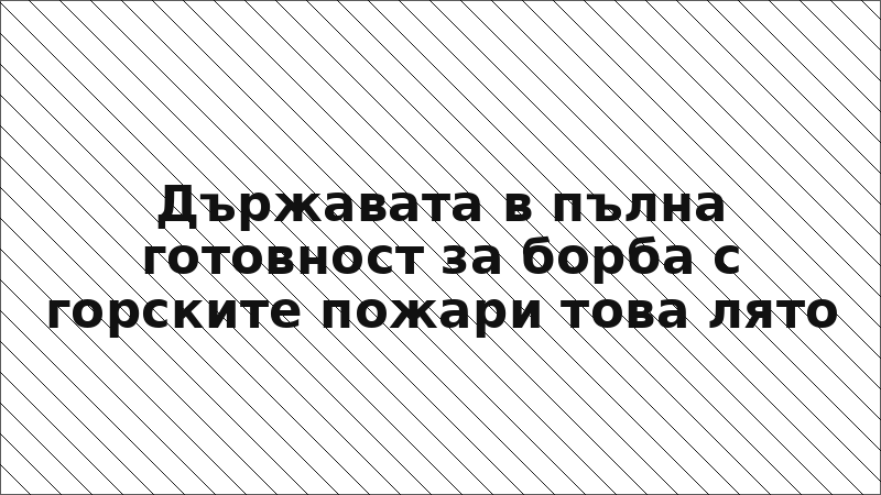 Държавата в пълна готовност за борба с горските пожари това лято