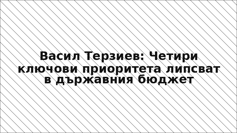 Васил Терзиев: Четири ключови приоритета липсват в държавния бюджет