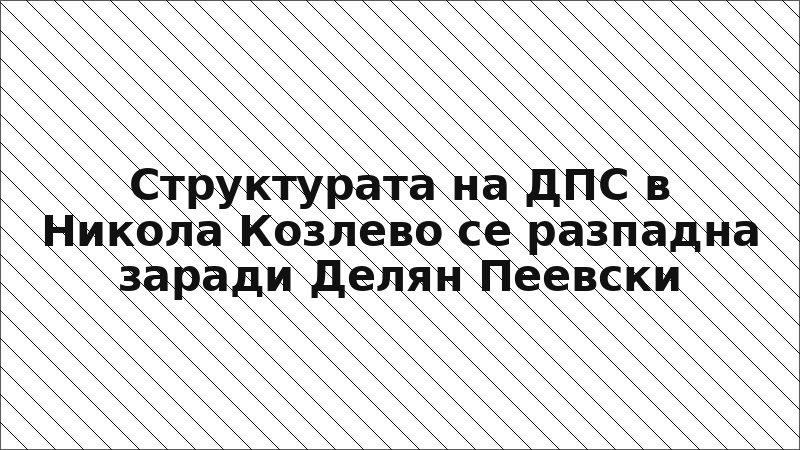 Структурата на ДПС в Никола Козлево се разпадна заради Делян Пеевски