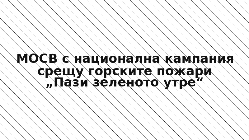 МОСВ с национална кампания срещу горските пожари „Пази зеленото утре“