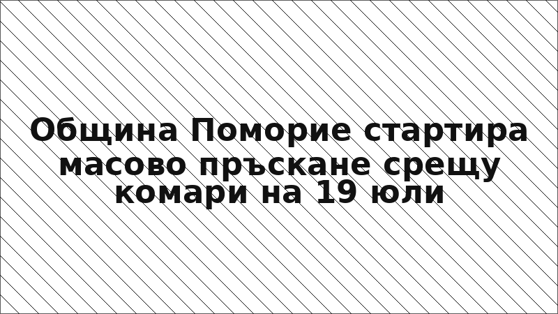Община Поморие стартира масово пръскане срещу комари на 19 юли