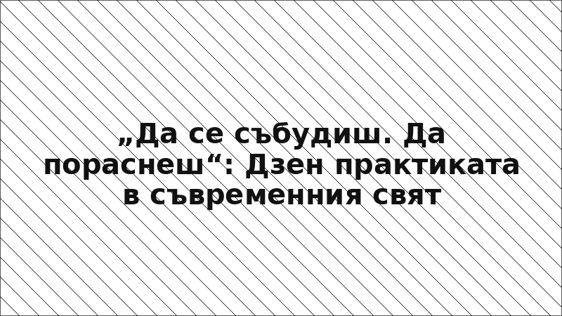 „Да се събудиш. Да пораснеш“: Дзен практиката в съвременния свят